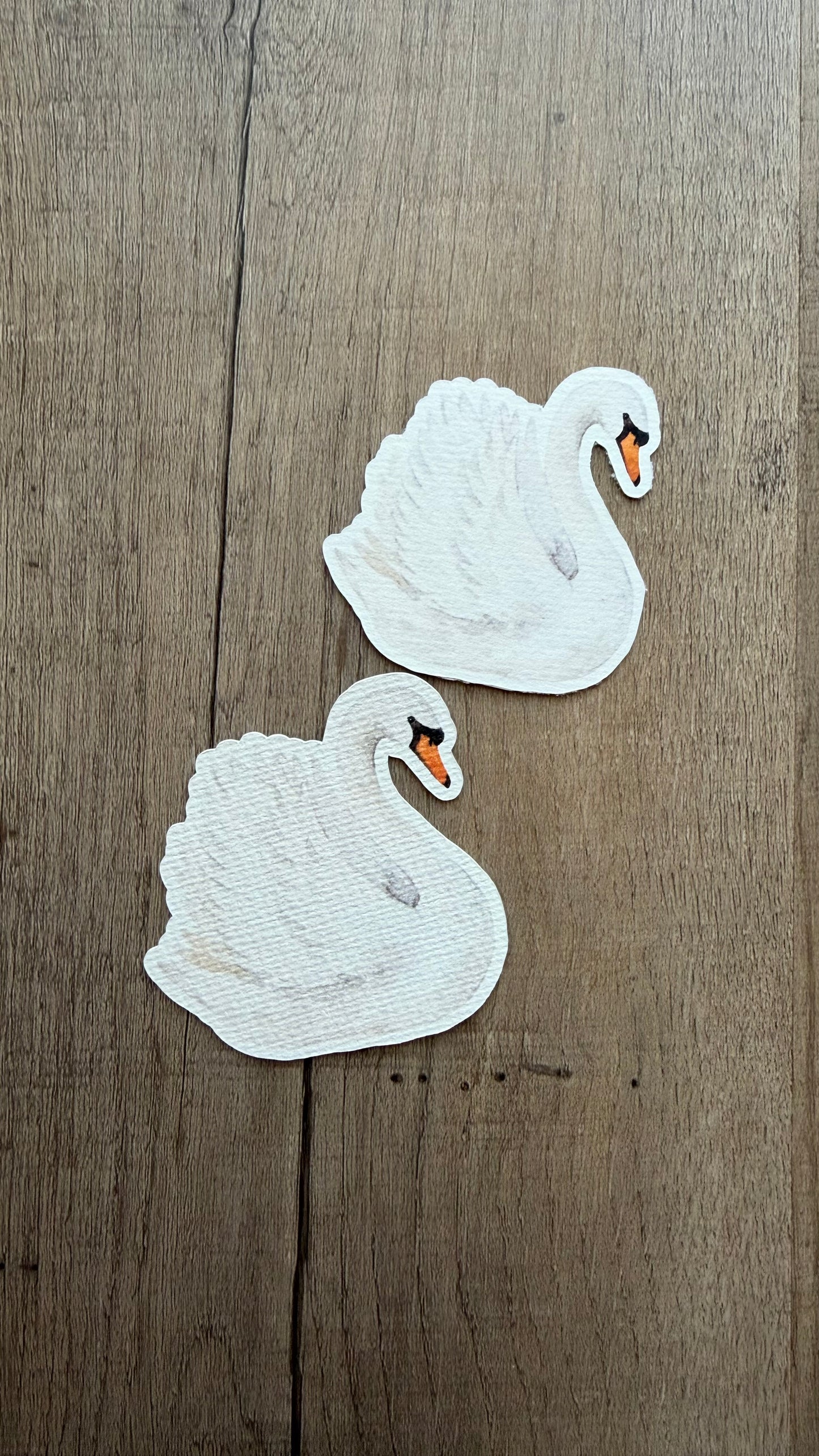Swan Cutout