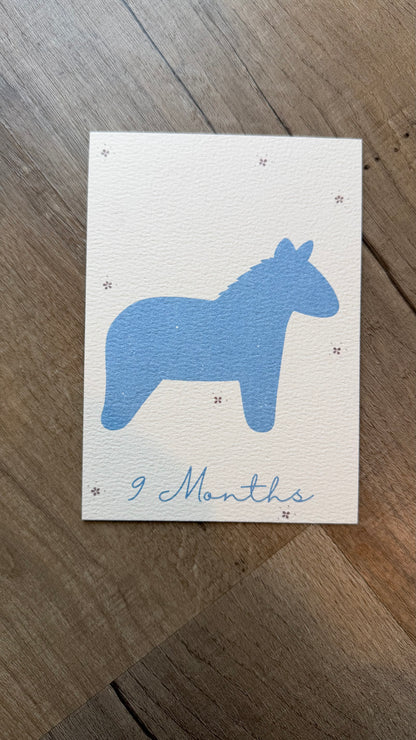 New born ( polaroid)